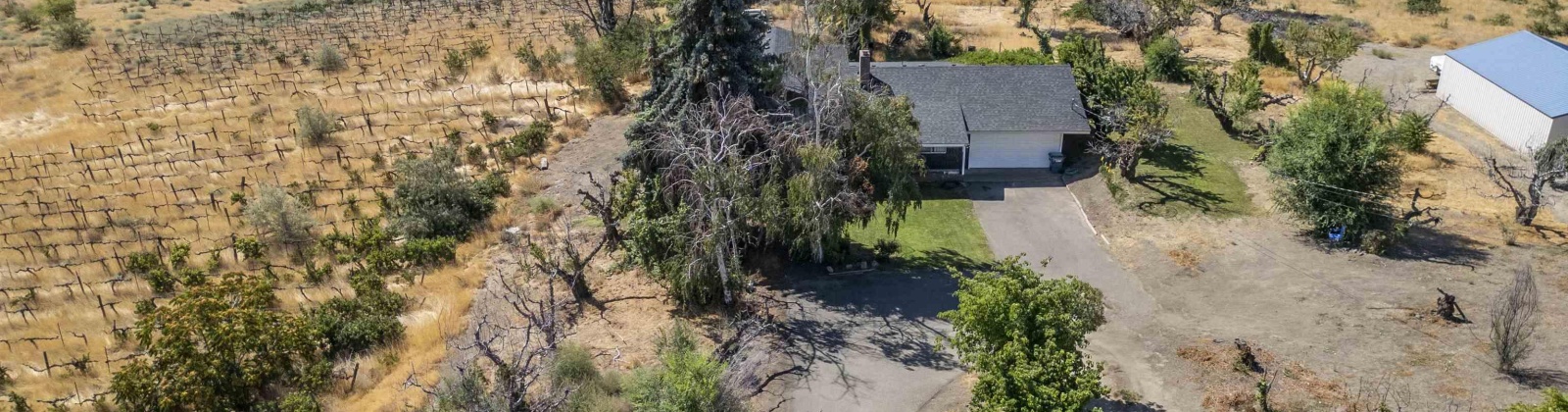 Riverside Ave, Sunnyside, Washington 98944, 4 Bedrooms Bedrooms, 0 ,3 BathroomsBathrooms,Houses,For Sale,Riverside Ave,0,286973