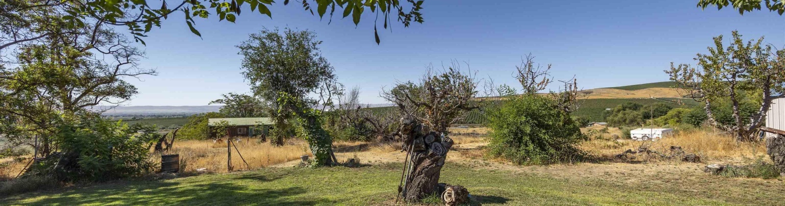 Riverside Ave, Sunnyside, Washington 98944, 4 Bedrooms Bedrooms, 0 ,3 BathroomsBathrooms,Houses,For Sale,Riverside Ave,0,286973