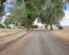 Lancaster Rd, St. John, Washington 99171, 3 Bedrooms Bedrooms, 0 ,2 BathroomsBathrooms,Houses,For Sale,Lancaster Rd,0,286981