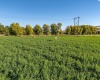 River Road, Benton City, Washington 99320, 0 , 0 ,0,Land/lots,For Sale,River Road,0,279446