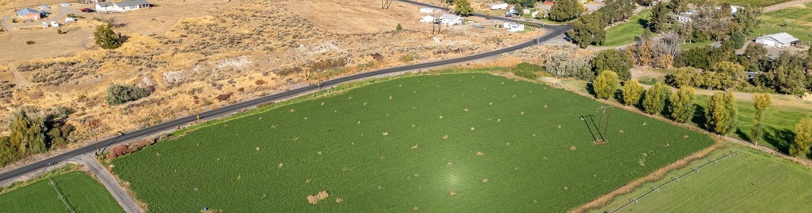 River Road, Benton City, Washington 99320, 0 , 0 ,0,Land/lots,For Sale,River Road,0,279446