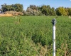 River Road, Benton City, Washington 99320, 0 , 0 ,0,Land/lots,For Sale,River Road,0,279446
