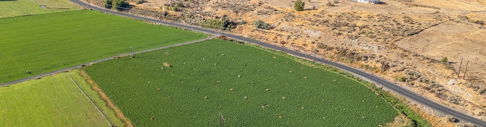 River Road, Benton City, Washington 99320, 0 , 0 ,0,Land/lots,For Sale,River Road,0,279446