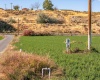 River Road, Benton City, Washington 99320, 0 , 0 ,0,Land/lots,For Sale,River Road,0,279446