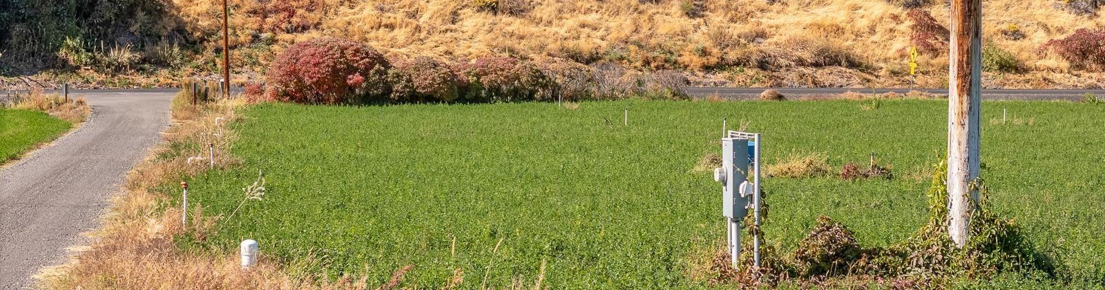 River Road, Benton City, Washington 99320, 0 , 0 ,0,Land/lots,For Sale,River Road,0,279446