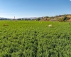 River Road, Benton City, Washington 99320, 0 , 0 ,0,Land/lots,For Sale,River Road,0,279446