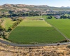 River Road, Benton City, Washington 99320, 0 , 0 ,0,Land/lots,For Sale,River Road,0,279446