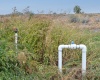 River Road, Benton City, Washington 99320, 0 , 0 ,0,Land/lots,For Sale,River Road,0,279446