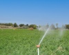 River Road, Benton City, Washington 99320, 0 , 0 ,0,Land/lots,For Sale,River Road,0,279446