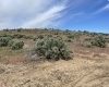 Eltopia West Road, Eltopia, Washington 99330, 0 , 0 ,0,Land/lots,For Sale,Eltopia West Road,0,287012