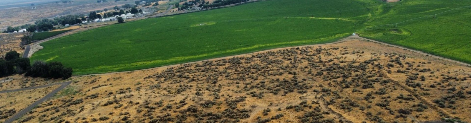 Eltopia West Road, Eltopia, Washington 99330, 0 , 0 ,0,Land/lots,For Sale,Eltopia West Road,0,287012