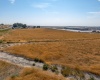 Capitol Ave, Pasco, Washington 99301, 0 , 0 ,0,Commercial,For Sale,Capitol Ave,0,287006