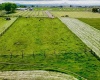 Maple Grove Rd., Sunnyside, Washington 98944, 0 , 0 ,0,Agricultural Land,For Sale,Maple Grove Rd.,0,287020