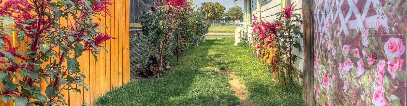 Fairbanks Ave., Yakima, Washington 98902, 2 Bedrooms Bedrooms, 0 ,1 BathroomBathrooms,Houses,For Sale,Fairbanks Ave.,0,287015