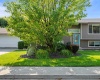 Rimrock Ave., Richland, Washington 99352, 3 Bedrooms Bedrooms, 0 ,3 BathroomsBathrooms,Houses,For Sale,Rimrock Ave.,0,287041