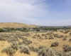Homestead Road, Kennewick, Washington 99338, 0 , 0 ,0,Land/lots,For Sale,Homestead Road,0,286329