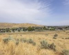 Homestead Road, Kennewick, Washington 99338, 0 , 0 ,0,Land/lots,For Sale,Homestead Road,0,286329