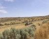 Homestead Road, Kennewick, Washington 99338, 0 , 0 ,0,Land/lots,For Sale,Homestead Road,0,286329