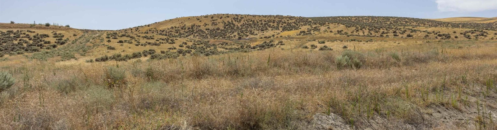 Homestead Road, Kennewick, Washington 99338, 0 , 0 ,0,Land/lots,For Sale,Homestead Road,0,286329