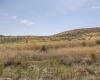 Homestead Road, Kennewick, Washington 99338, 0 , 0 ,0,Land/lots,For Sale,Homestead Road,0,286329
