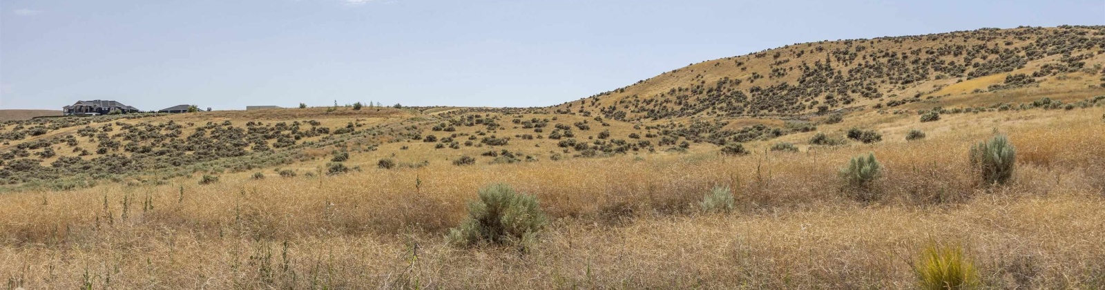 Homestead Road, Kennewick, Washington 99338, 0 , 0 ,0,Land/lots,For Sale,Homestead Road,0,286329