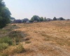 Bermuda Rd, Kennewick, Washington 99338, 0 , 0 ,0,Land/lots,For Sale,Bermuda Rd,0,287146
