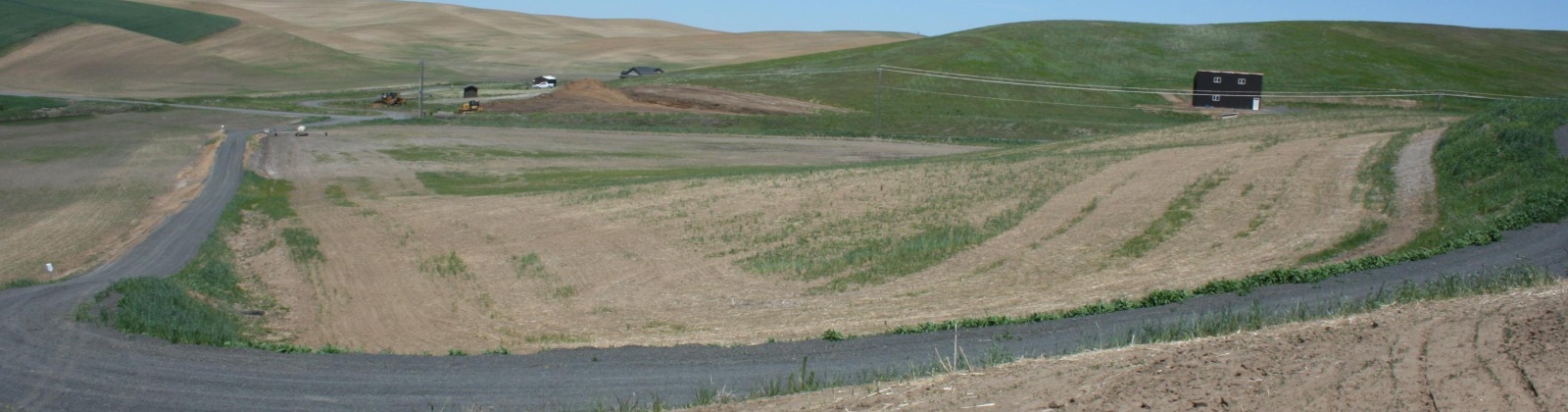 Golden Wheat Lane, Pullman, Washington, 0 , 0 ,0,Land/lots,For Sale,Golden Wheat Lane,0,284550