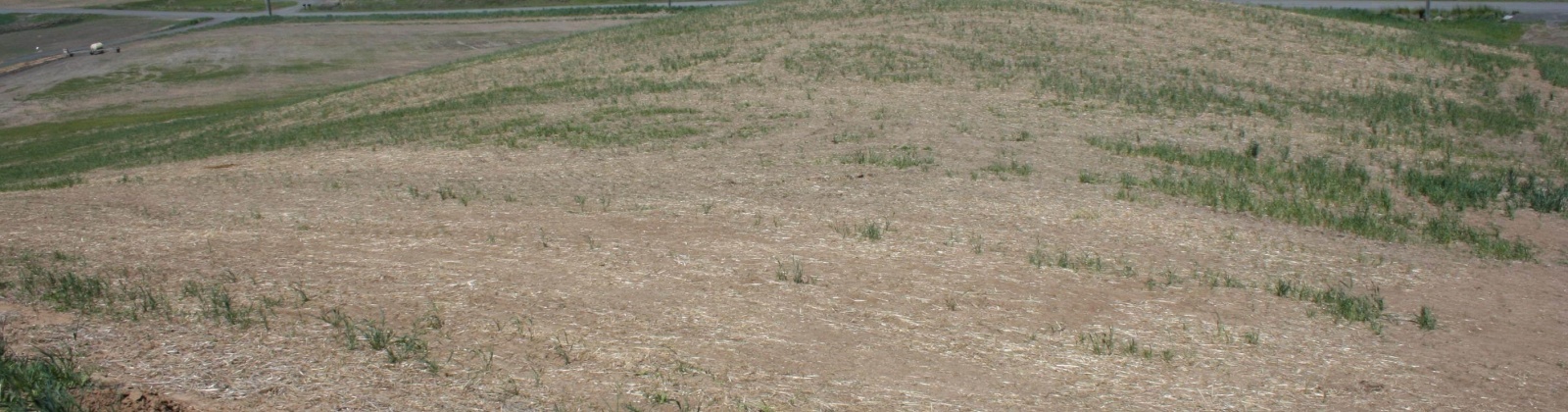 Golden Wheat Lane, Pullman, Washington, 0 , 0 ,0,Land/lots,For Sale,Golden Wheat Lane,0,284550