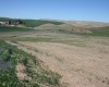 Golden Wheat Lane, Pullman, Washington, 0 , 0 ,0,Land/lots,For Sale,Golden Wheat Lane,0,284550