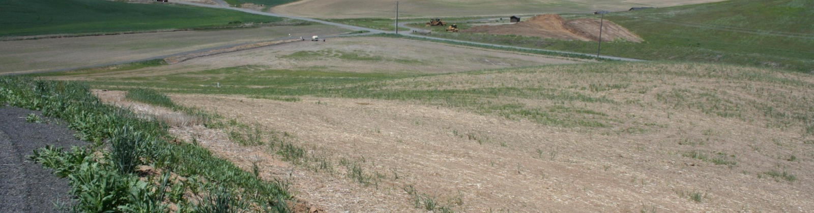 Golden Wheat Lane, Pullman, Washington, 0 , 0 ,0,Land/lots,For Sale,Golden Wheat Lane,0,284550