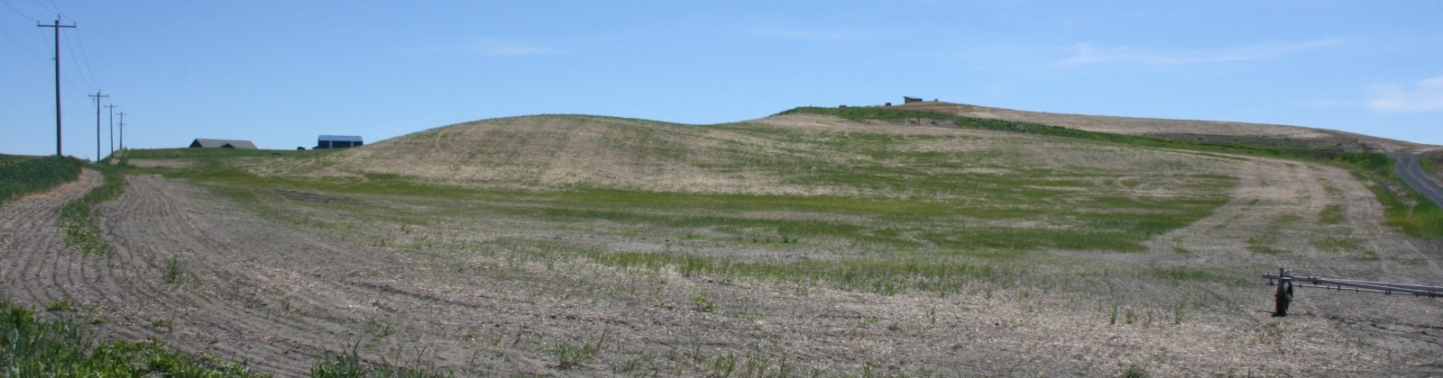 Golden Wheat Lane, Pullman, Washington, 0 , 0 ,0,Land/lots,For Sale,Golden Wheat Lane,0,284550