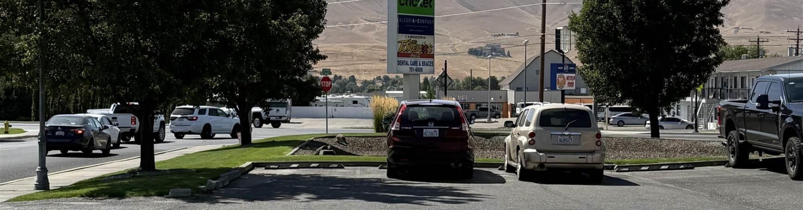 Chardonnay Avenue, Prosser, Washington 99350, 0 , 0 ,41 BathroomsBathrooms,Commercial,For Sale,Chardonnay Avenue,0,287192