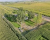 Van Belle Rd, Granger, Washington 98832, 3 Bedrooms Bedrooms, 0 ,2 BathroomsBathrooms,Houses,For Sale,Van Belle Rd,0,287291