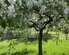 Union Ave, Uniontown, Idaho 99179, 3 Bedrooms Bedrooms, 0 ,3 BathroomsBathrooms,Houses,For Sale,Union Ave,0,287346