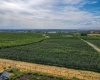 Lombard Loop Rd, Wapato, Washington 98951, 4 Bedrooms Bedrooms, 0 ,3 BathroomsBathrooms,Houses,For Sale,Lombard Loop Rd,0,287344
