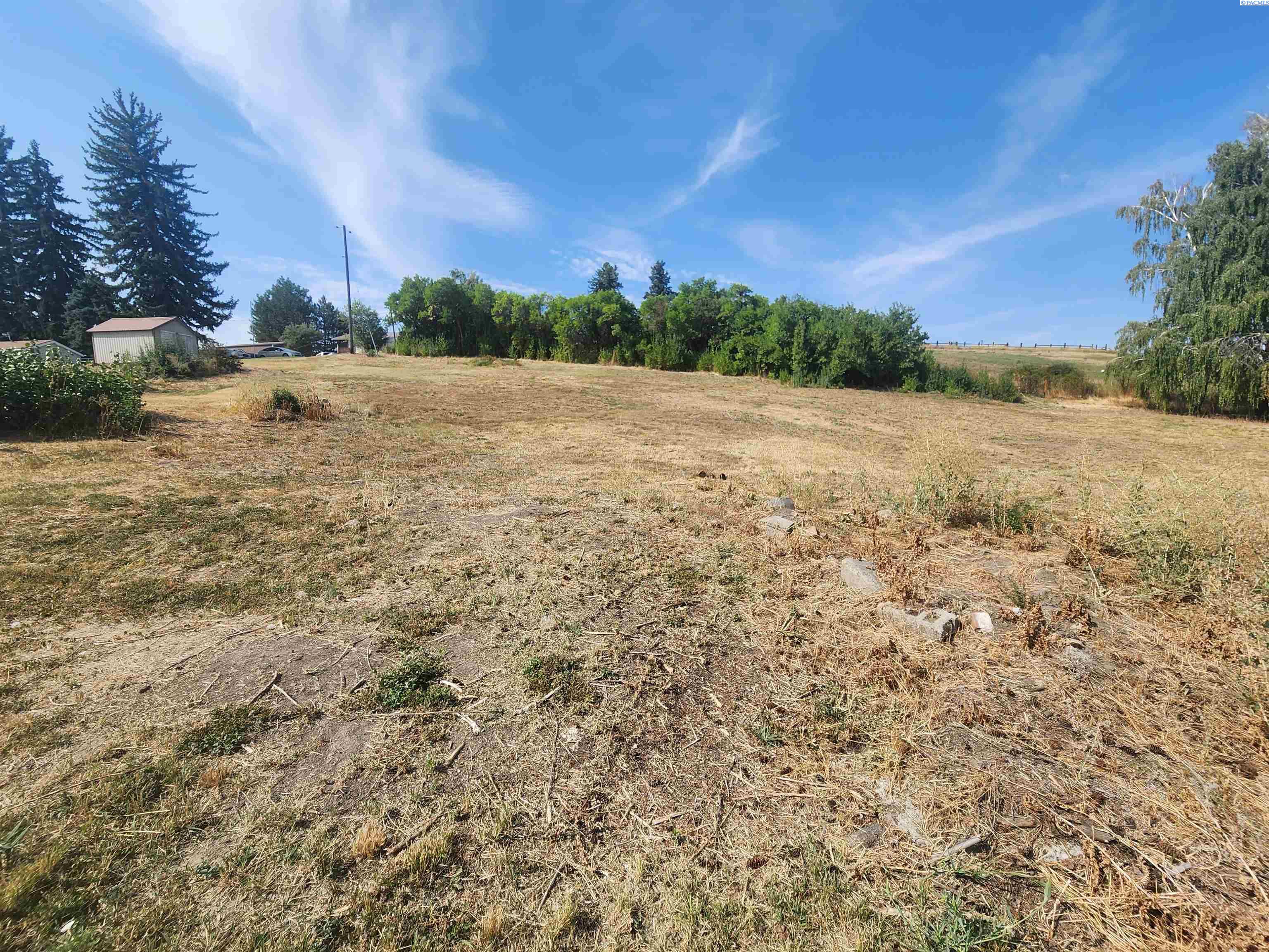 Williams and Third, Oakesdale, Washington 99158, 0 , 0 ,0,Land/lots,For Sale,Williams and Third,0,287324