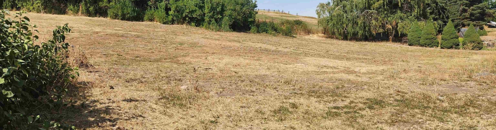 Williams and Third, Oakesdale, Washington 99158, 0 , 0 ,0,Land/lots,For Sale,Williams and Third,0,287324