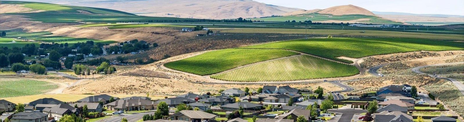 Reata Rd, Kennewick, Washington 99338, 3 Bedrooms Bedrooms, 0 ,3 BathroomsBathrooms,Houses,For Sale,Reata Rd,0,287380