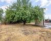 Acacia Ave, Richland, Washington 99354, 3 Bedrooms Bedrooms, 0 ,1 BathroomBathrooms,Houses,For Sale,Acacia Ave,0,287377