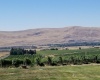 Case Rd, Prosser, Washington 99350, 3 Bedrooms Bedrooms, 0 ,2 BathroomsBathrooms,Houses,For Sale,Case Rd,0,287386
