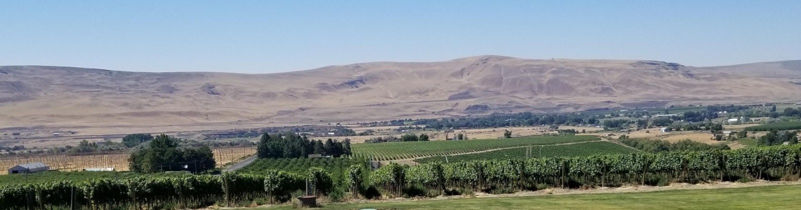 Case Rd, Prosser, Washington 99350, 3 Bedrooms Bedrooms, 0 ,2 BathroomsBathrooms,Houses,For Sale,Case Rd,0,287386