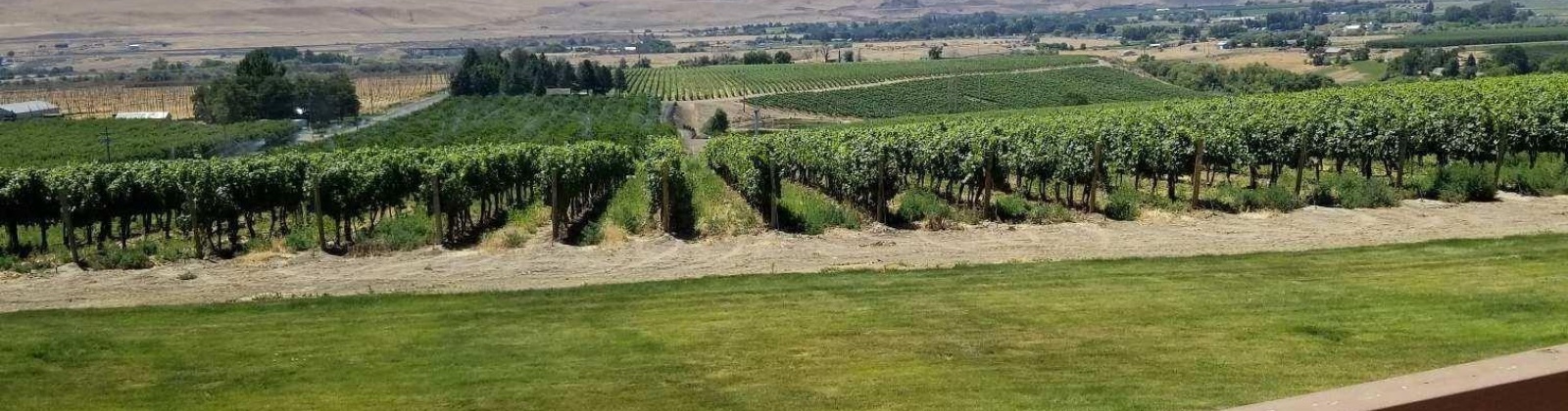Case Rd, Prosser, Washington 99350, 3 Bedrooms Bedrooms, 0 ,2 BathroomsBathrooms,Houses,For Sale,Case Rd,0,287386