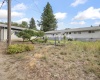 Union Street, Palouse, Washington 99161, 3 Bedrooms Bedrooms, 0 ,2 BathroomsBathrooms,Houses,For Sale,Union Street,0,287402