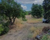 East St, Colfax, Washington 99111, 4 Bedrooms Bedrooms, 0 ,2 BathroomsBathrooms,Houses,For Sale,East St,0,287422