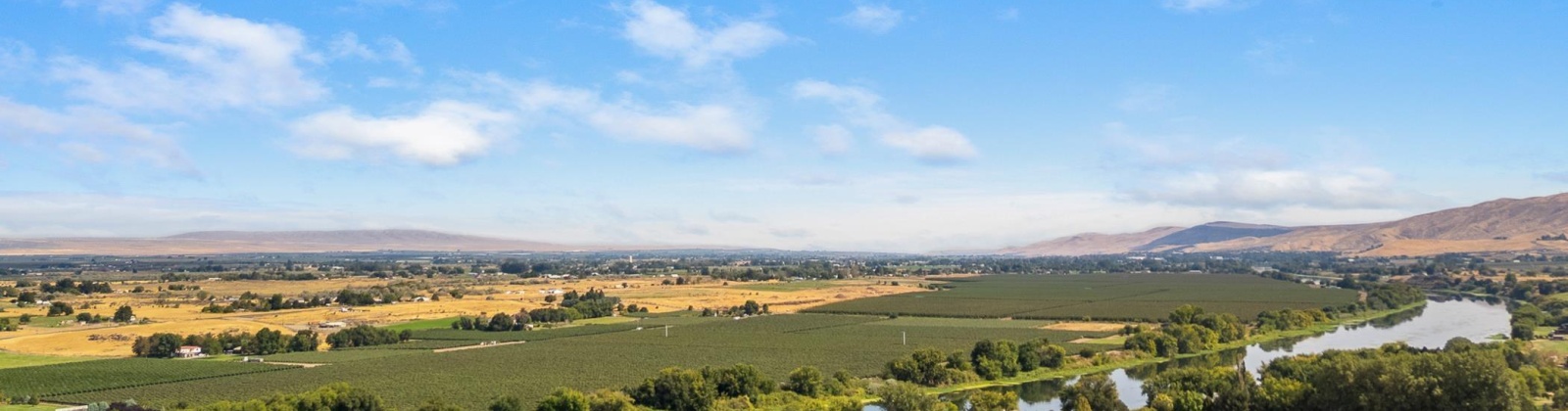 Lanell Drive, Prosser, Washington 99350, 4 Bedrooms Bedrooms, 0 ,3 BathroomsBathrooms,Houses,For Sale,Lanell Drive,0,287454