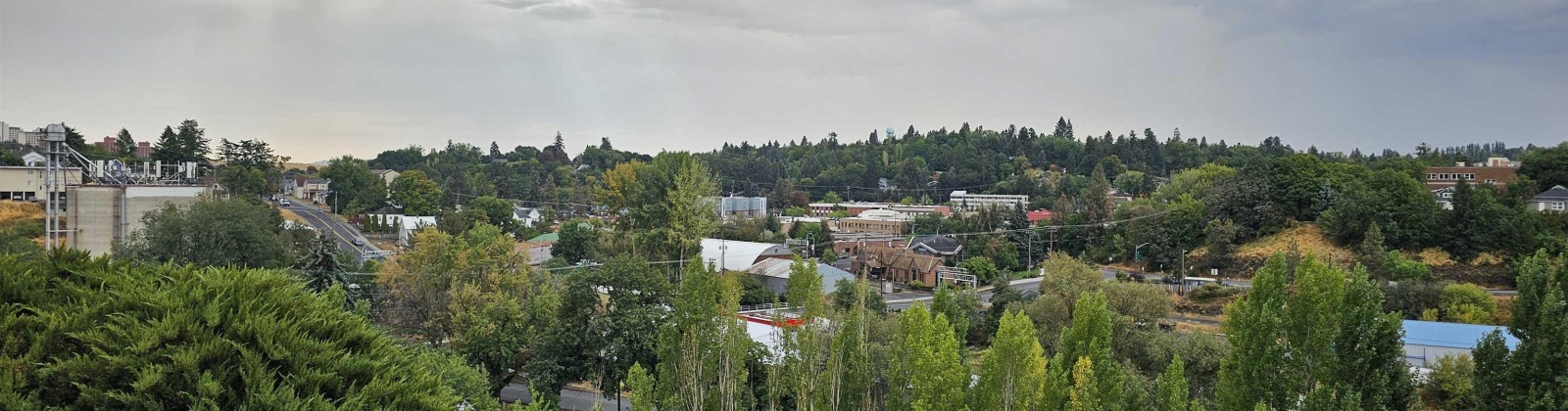 Irving Street, Pullman, Washington 99163, 4 Bedrooms Bedrooms, 0 ,3 BathroomsBathrooms,Multi-family,For Sale,Irving Street,0,287468