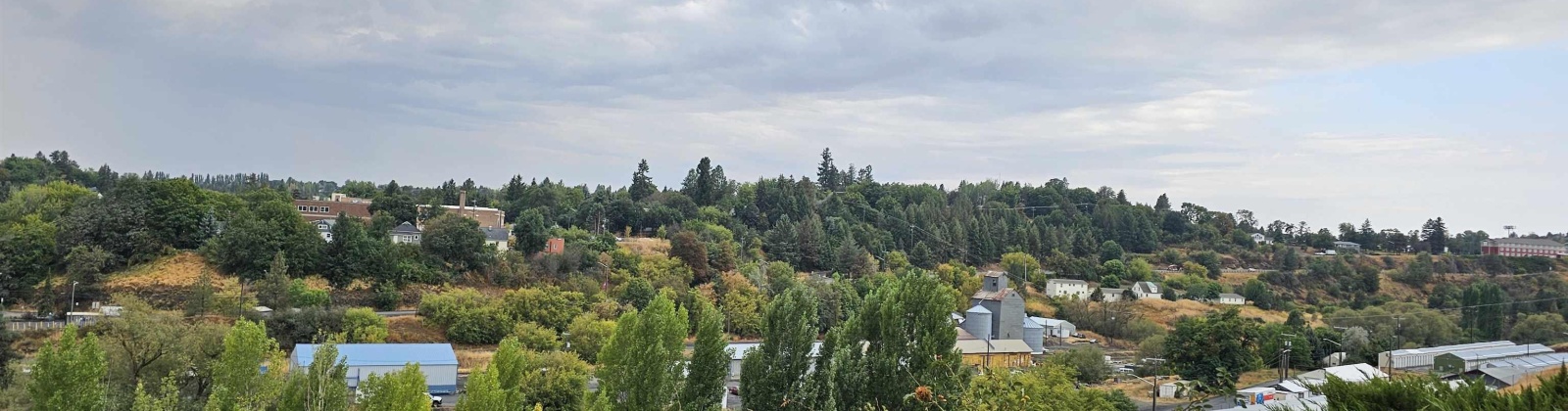 Irving Street, Pullman, Washington 99163, 4 Bedrooms Bedrooms, 0 ,3 BathroomsBathrooms,Multi-family,For Sale,Irving Street,0,287468