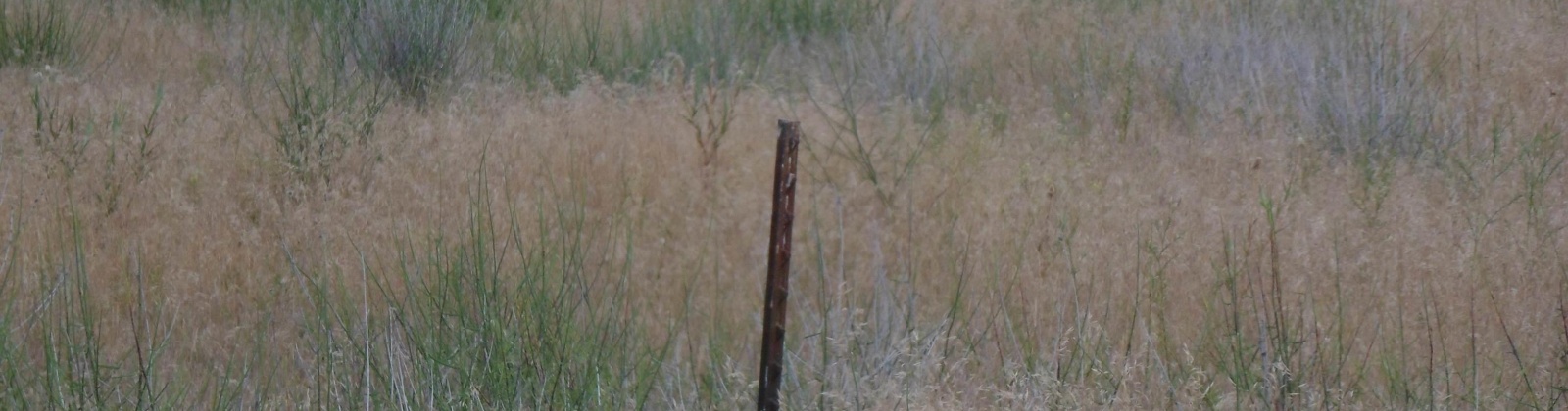 Eastside Dr, Ephrata, Washington 98823, 0 , 0 ,0,Land/lots,For Sale,Eastside Dr,0,287460