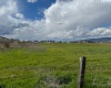 WARNER AVENUE, Lewiston, Idaho 83501, 0 , 0 ,0,Special Use,For Sale,WARNER AVENUE,0,287491