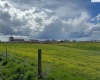 WARNER AVENUE, Lewiston, Idaho 83501, 0 , 0 ,0,Special Use,For Sale,WARNER AVENUE,0,287491